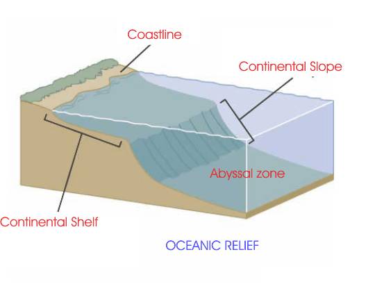 Continental Margins Sea Floor